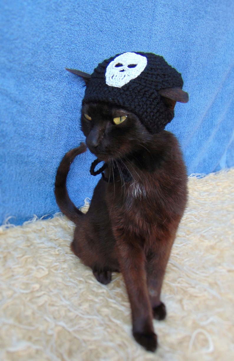 Skull hat for cat, Pirate hats for cats, Halloween pet costume, Halloween skull kitten outfit, Gift for cat lover, Crochet black cat costume image 3