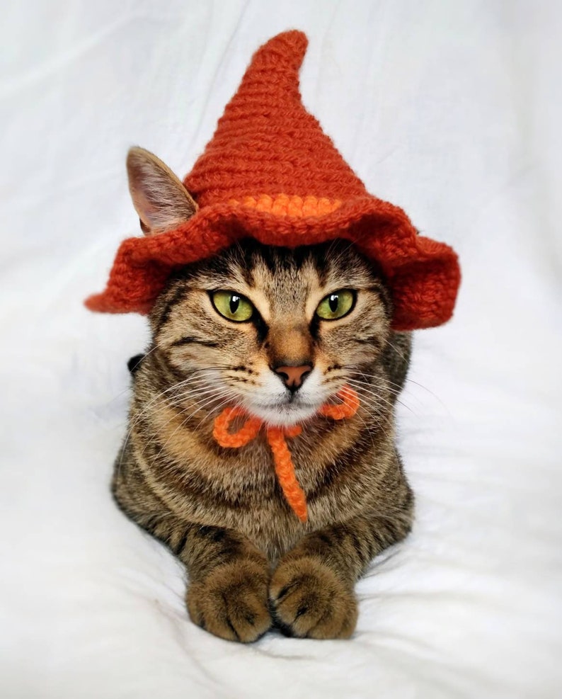 Witch Hat for Cat Witch Pet Costume Halloween Witch Kitten Etsy