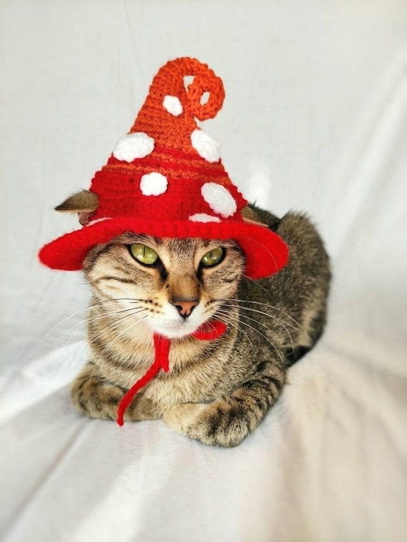 Mushroom Hat for Cat Fairy Pet Costume halloween Mushroom Forest Kitten Outfit Cat Accessories Gift for Cat Lover Halloween Pet Costume Etsy