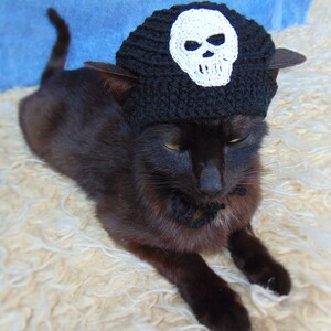 Skull hat for cat, Pirate hats for cats, Halloween pet costume, Halloween skull kitten outfit, Gift for cat lover, Crochet black cat costume image 4