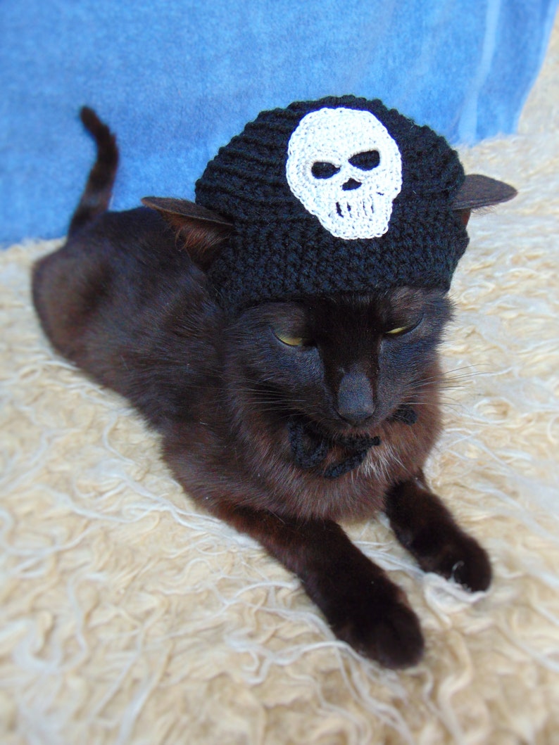 Skull hat for cat, Pirate hats for cats, Halloween pet costume, Halloween skull kitten outfit, Gift for cat lover, Crochet black cat costume image 4