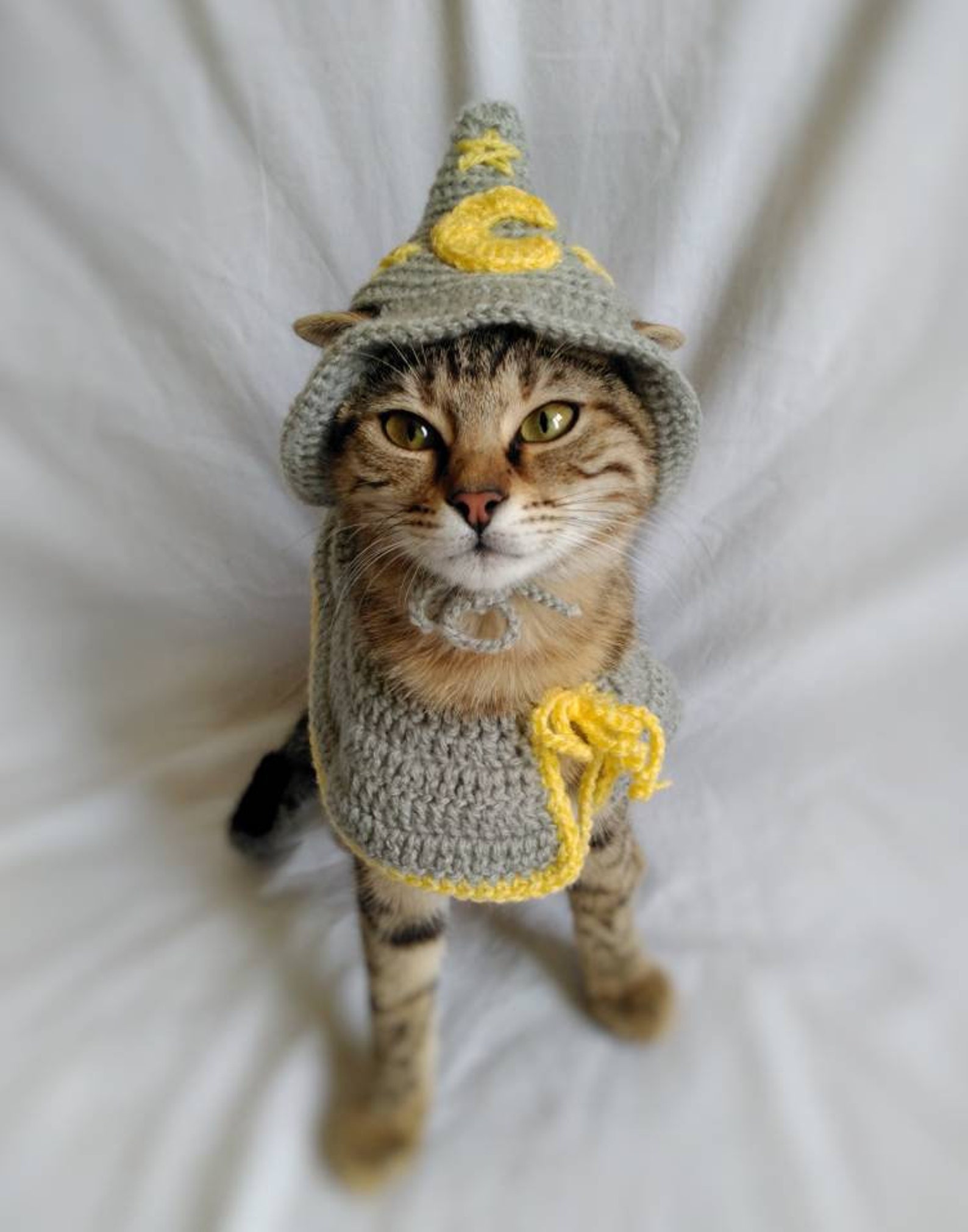 Wizard Costume for Cat Wizard Hat for Cat Wizard Pet Costume Etsy Ireland