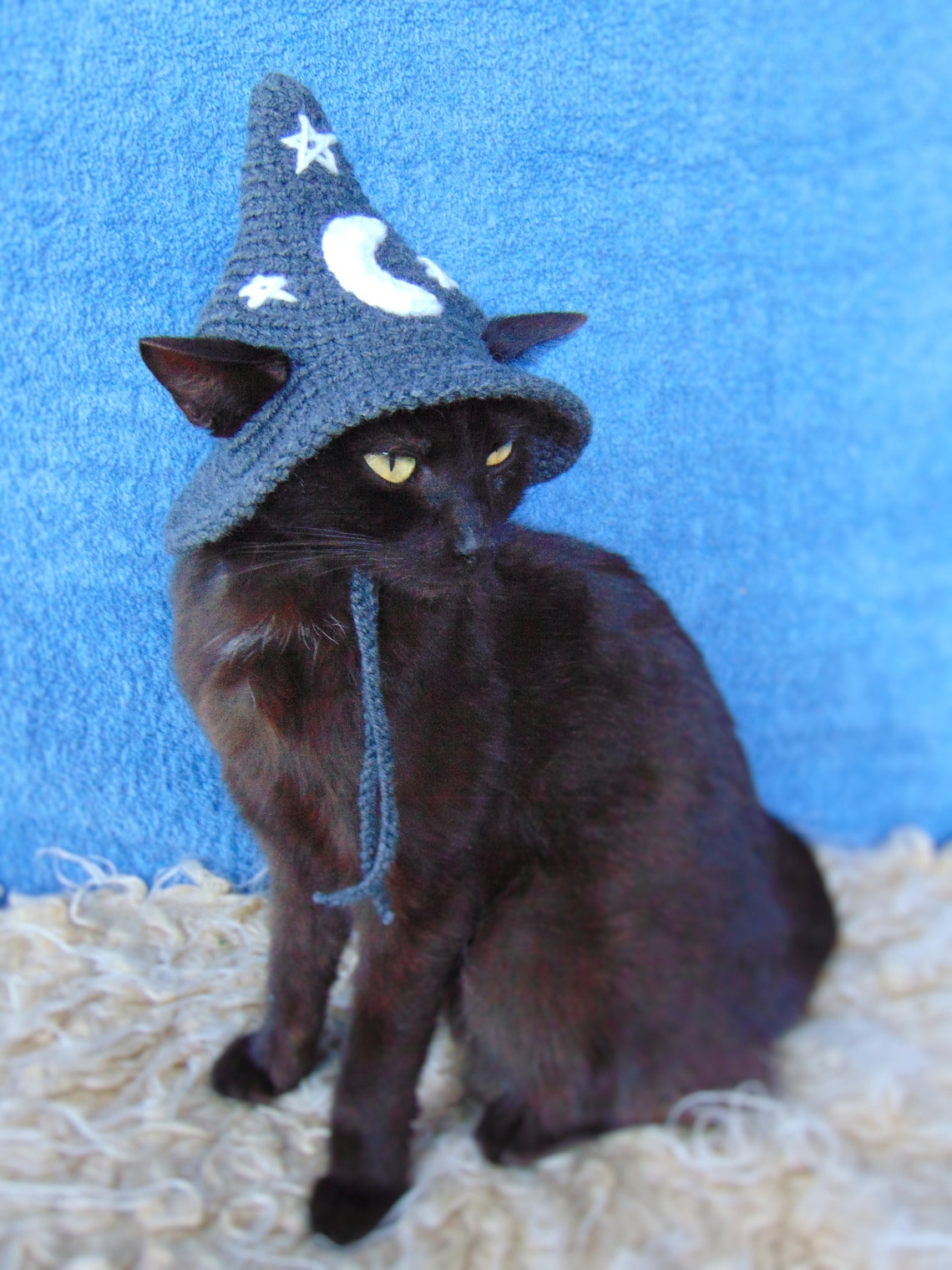 Dark Grey Wizard Hat for Cat Halloween Wizard Pet Costume | Etsy