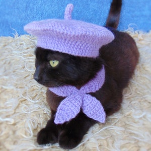 French Beret Hat and Scarf, Beret Hat for Cat, Cat Scarf, Purple Kitten Outfit, Cat Accessories, Black Cat Costume, Pet Costume image 2