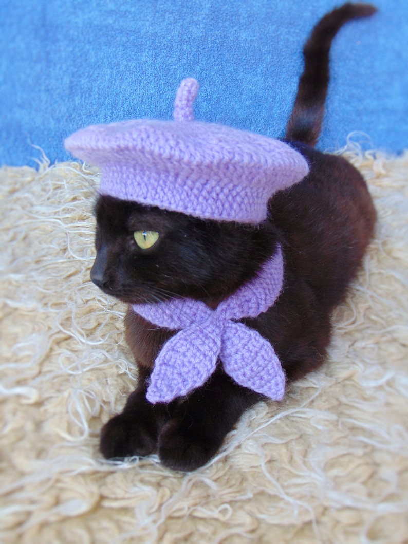 French Beret Hat and Scarf, Beret Hat for Cat, Cat Scarf, Purple Kitten Outfit, Cat Accessories, Black Cat Costume, Pet Costume image 2