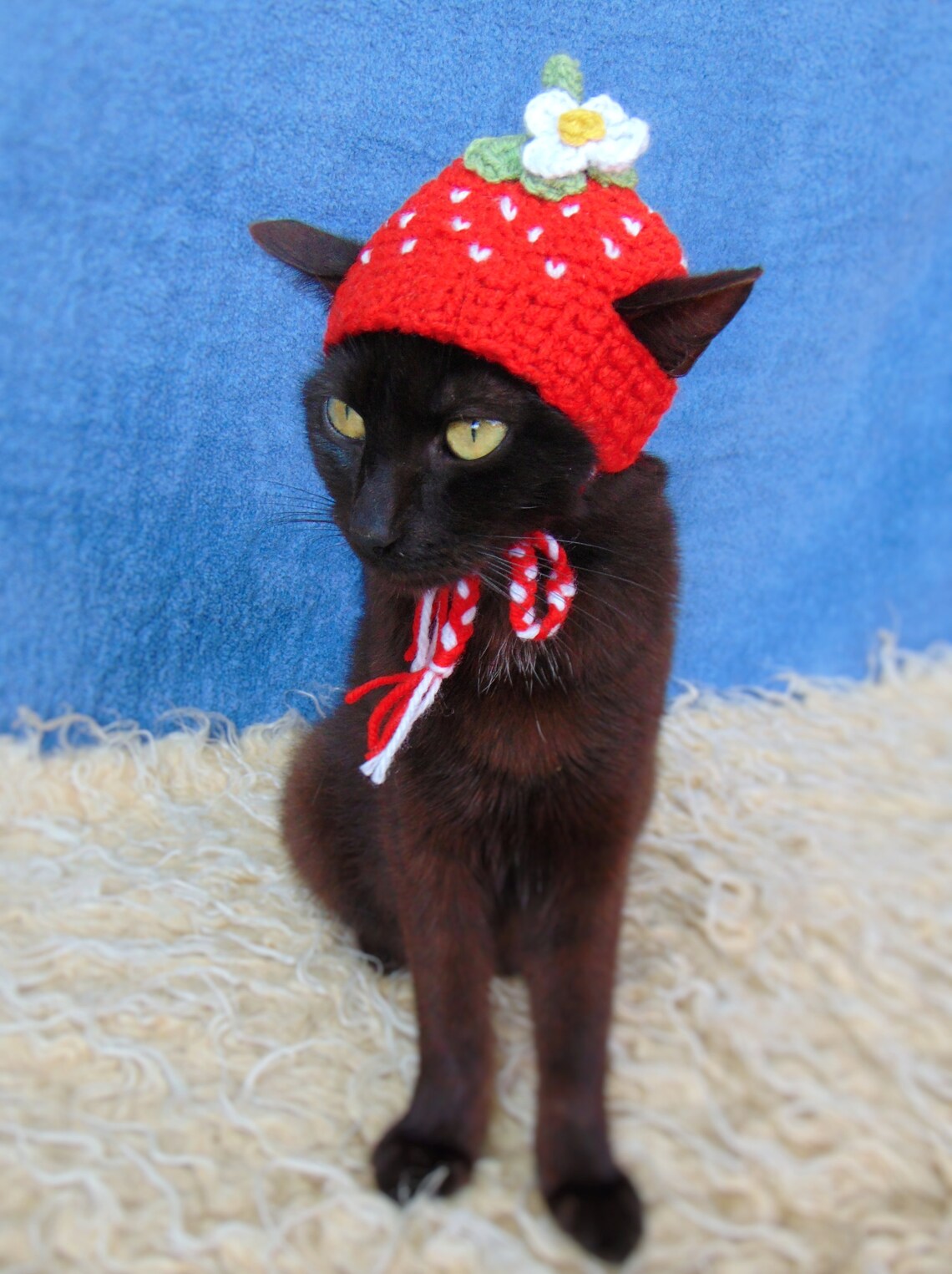 Strawberry hat for cat Hat for kitten Fruit cat outfit Etsy