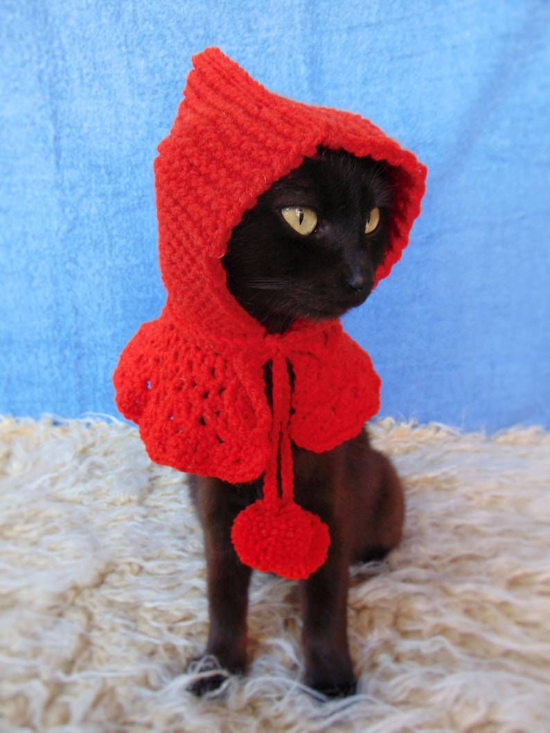 Little Red Riding Hood Cat Costume, Halloween Pet Costume, Cat Hoodie, Kitten Jacket, Cat Accessories, Gift for Cat Lover image 1