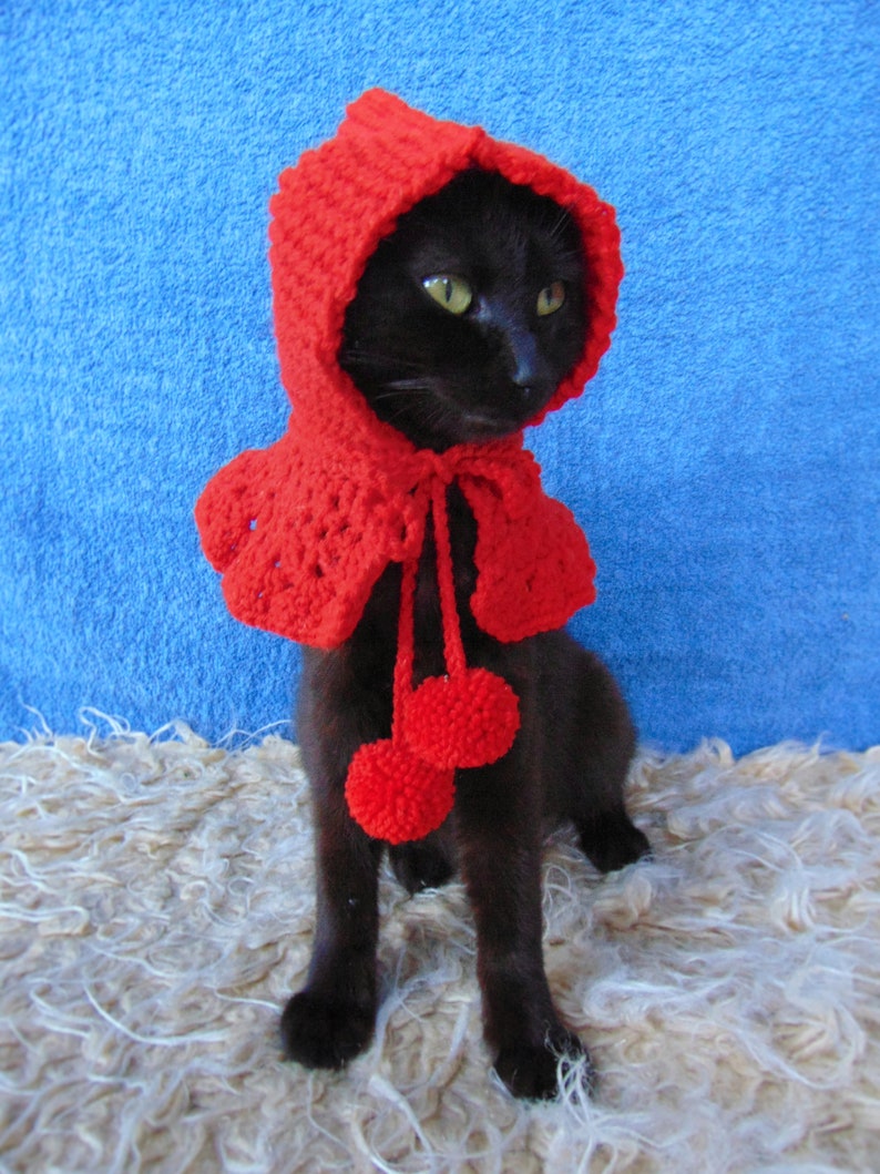 Little Red Riding Hood Cat Costume, Halloween Pet Costume, Cat Hoodie, Kitten Jacket, Cat Accessories, Gift for Cat Lover image 2