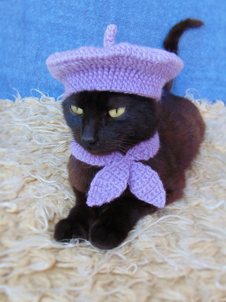 French Beret Hat and Scarf, Beret Hat for Cat, Cat Scarf, Purple Kitten Outfit, Cat Accessories, Black Cat Costume, Pet Costume image 1