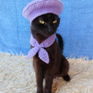 French Beret Hat and Scarf, Beret Hat for Cat, Cat Scarf, Purple Kitten Outfit, Cat Accessories, Black Cat Costume, Pet Costume image 3