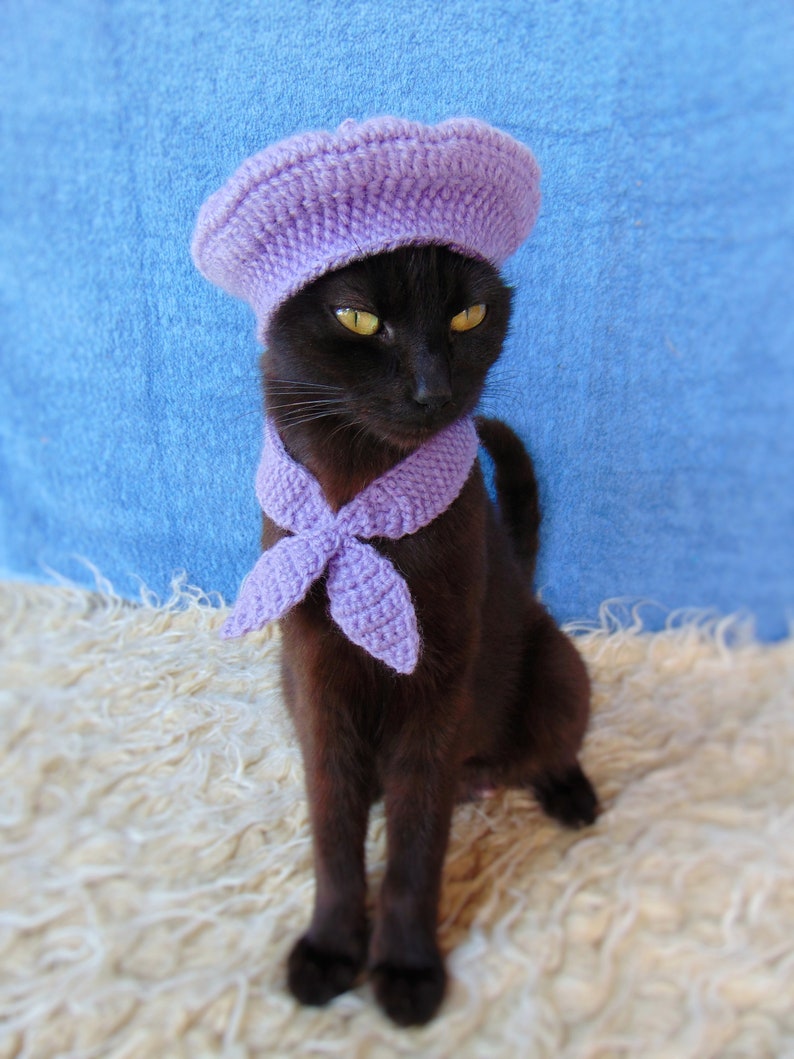 French Beret Hat and Scarf, Beret Hat for Cat, Cat Scarf, Purple Kitten Outfit, Cat Accessories, Black Cat Costume, Pet Costume image 3