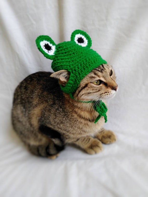 Frosch Hut für Katze, Frosch Haustier Kostüm, Kätzchen Outfit, Katzen  Accessoires, Geschenk für Katzenliebhaber, Kitty Harness, Gehäkelter Frosch  Katzenhut - .de