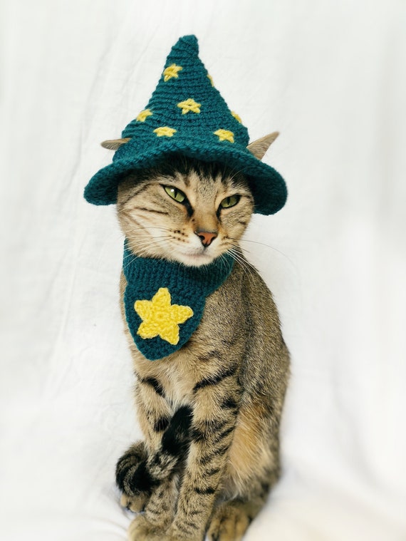 Wizard Pet Costume, Wizard Costume for Cat, Halloween Cat Hat