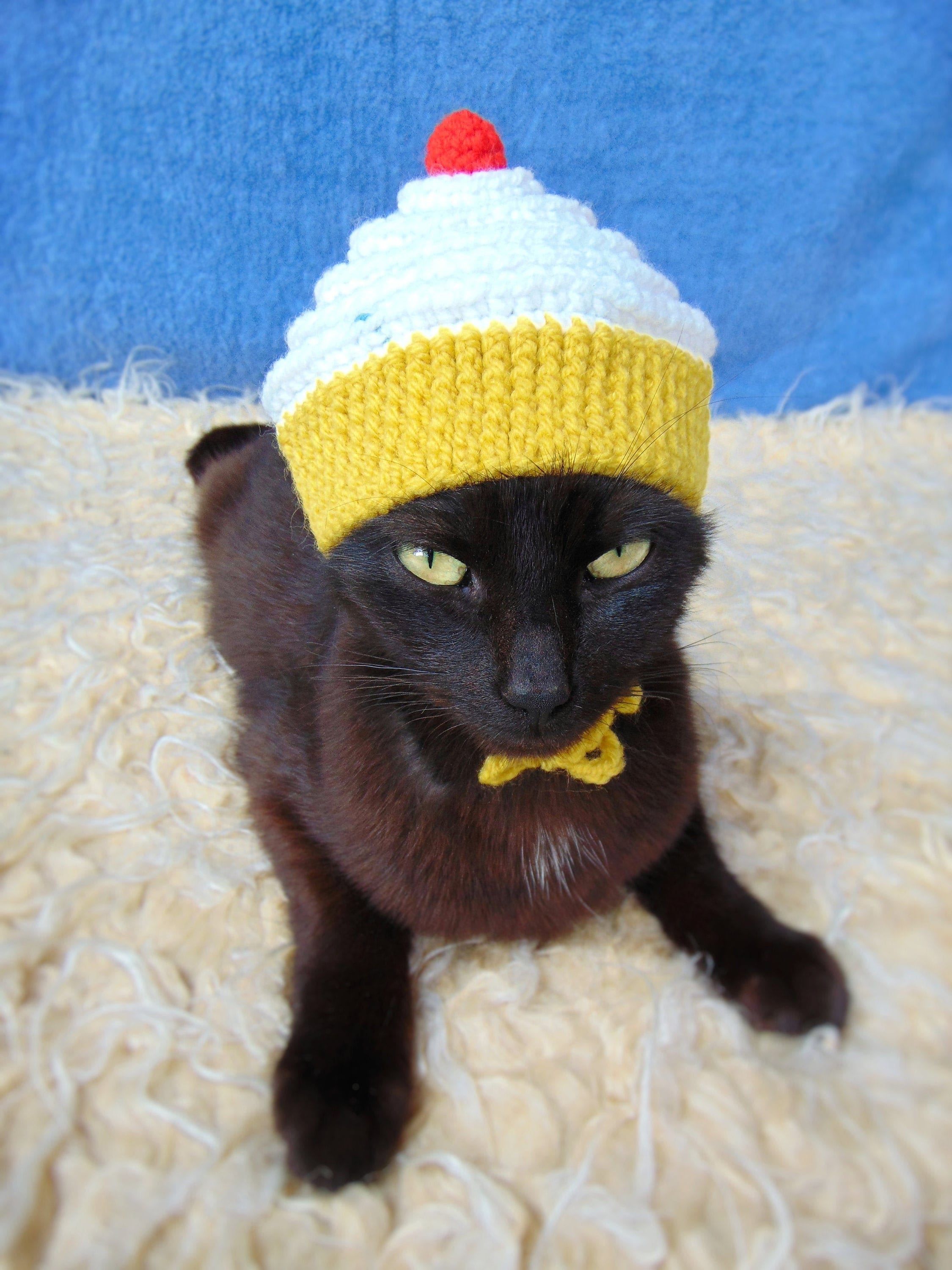 Cupcake Hat for Cat Cupcake Pet Costume Gift for Cat Lover - Etsy