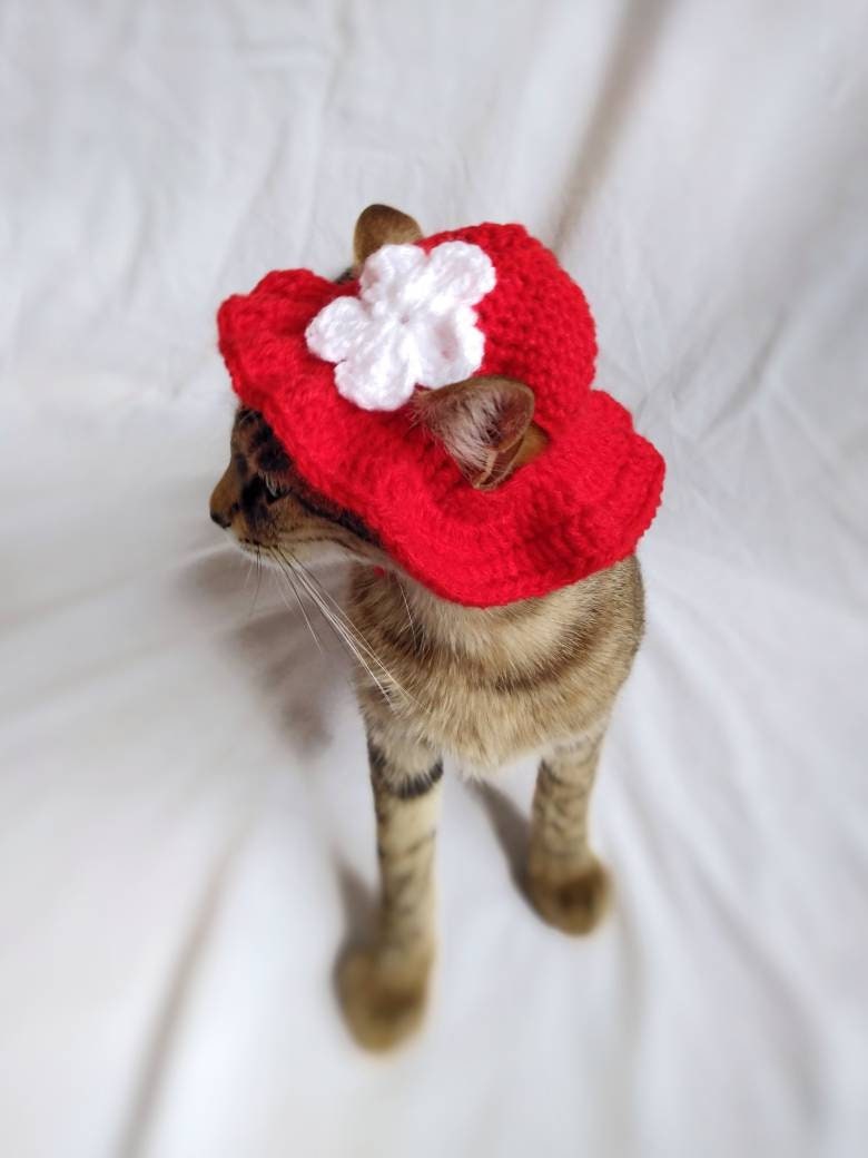 Summer Hat for Cat Red Brim Kitty Hat Flower Hats for Cats Etsy