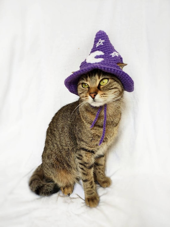 Lustige Katzenmütze Aus Fleece – Mit Bommel, Verstellbar, Für Halloween & Kostüme (Blau+Lila, Größe S)