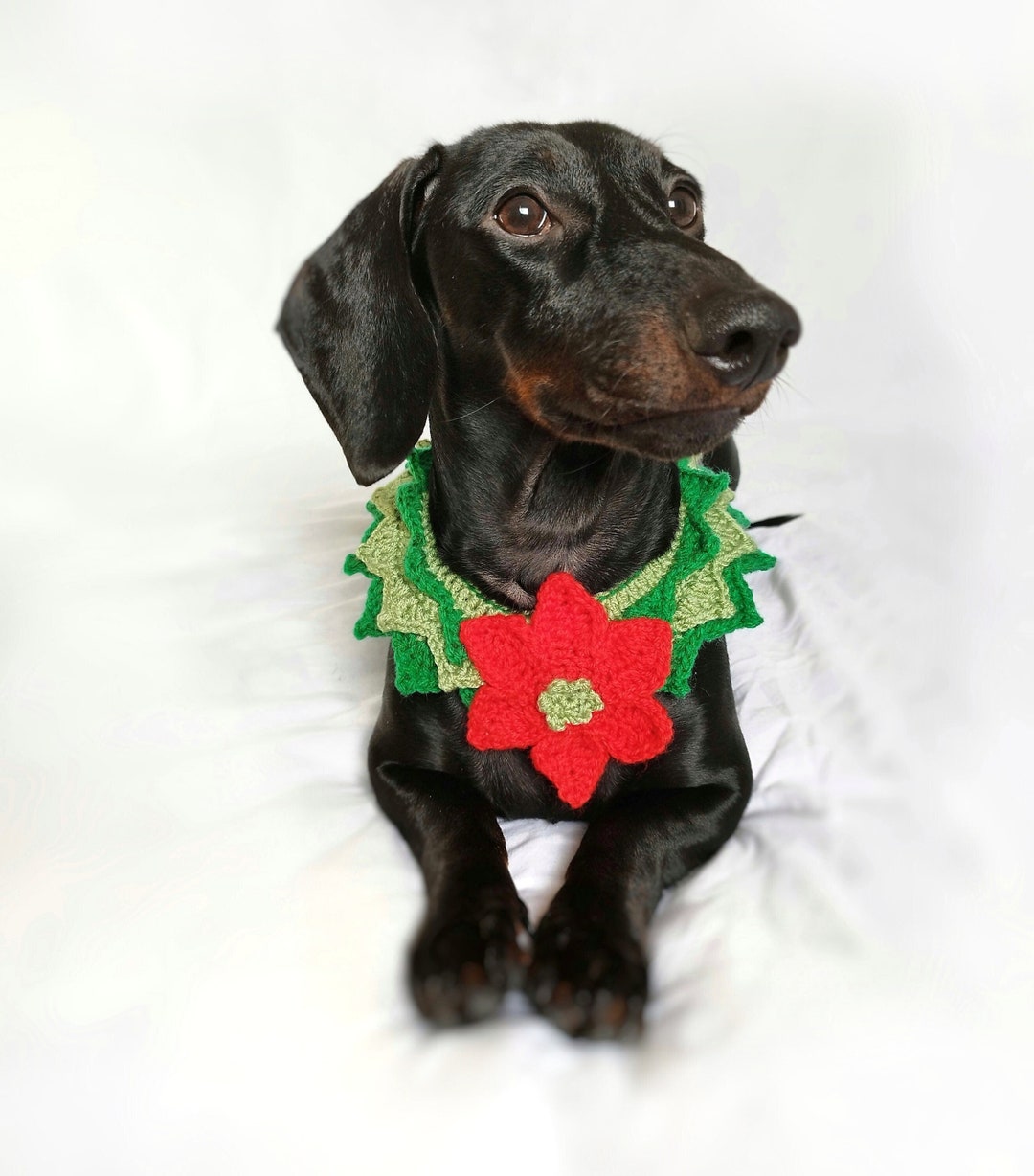 Dog Christmas Collar, Pet Christmas Tree Collar, Dachshund Flower Collar, Doxie Christmas