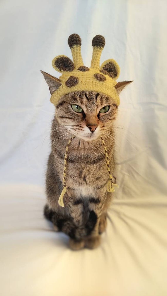 Giraffe Hat for Cat Giraffe Pet Costume halloween Kitten Outfit Cat Accessories Gift for Cat Lover Halloween Pet Costume Etsy Hong Kong
