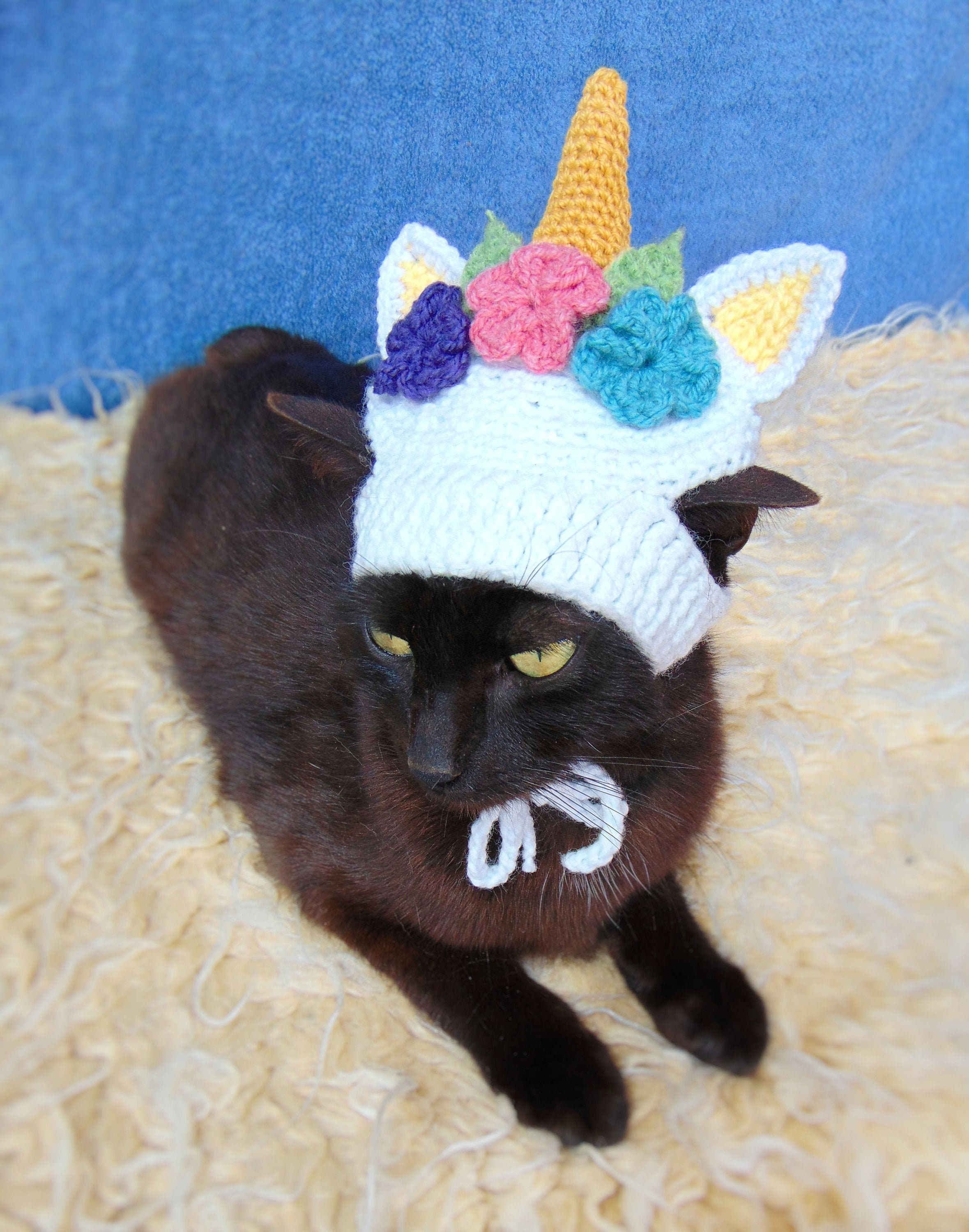 Cat unicorn hat Clearance