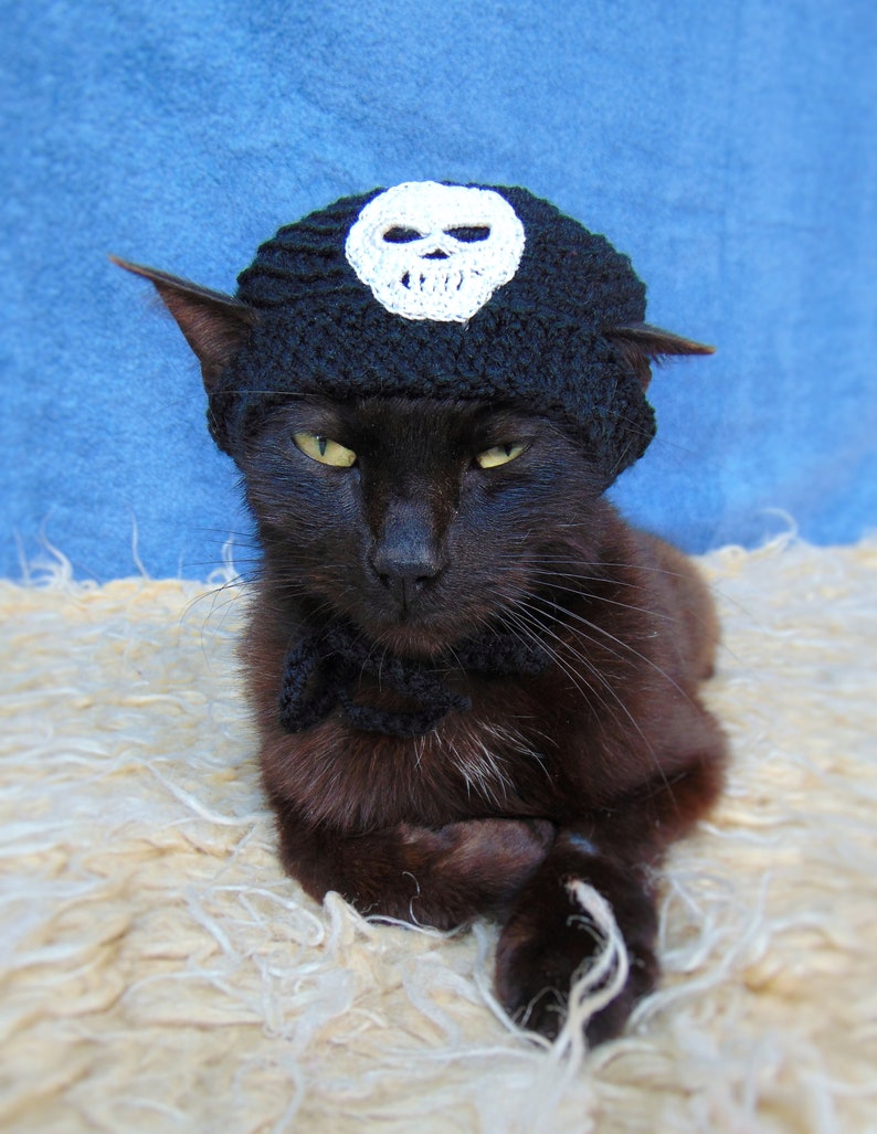 Skull hat for cat, Pirate hats for cats, Halloween pet costume, Halloween skull kitten outfit, Gift for cat lover, Crochet black cat costume image 2