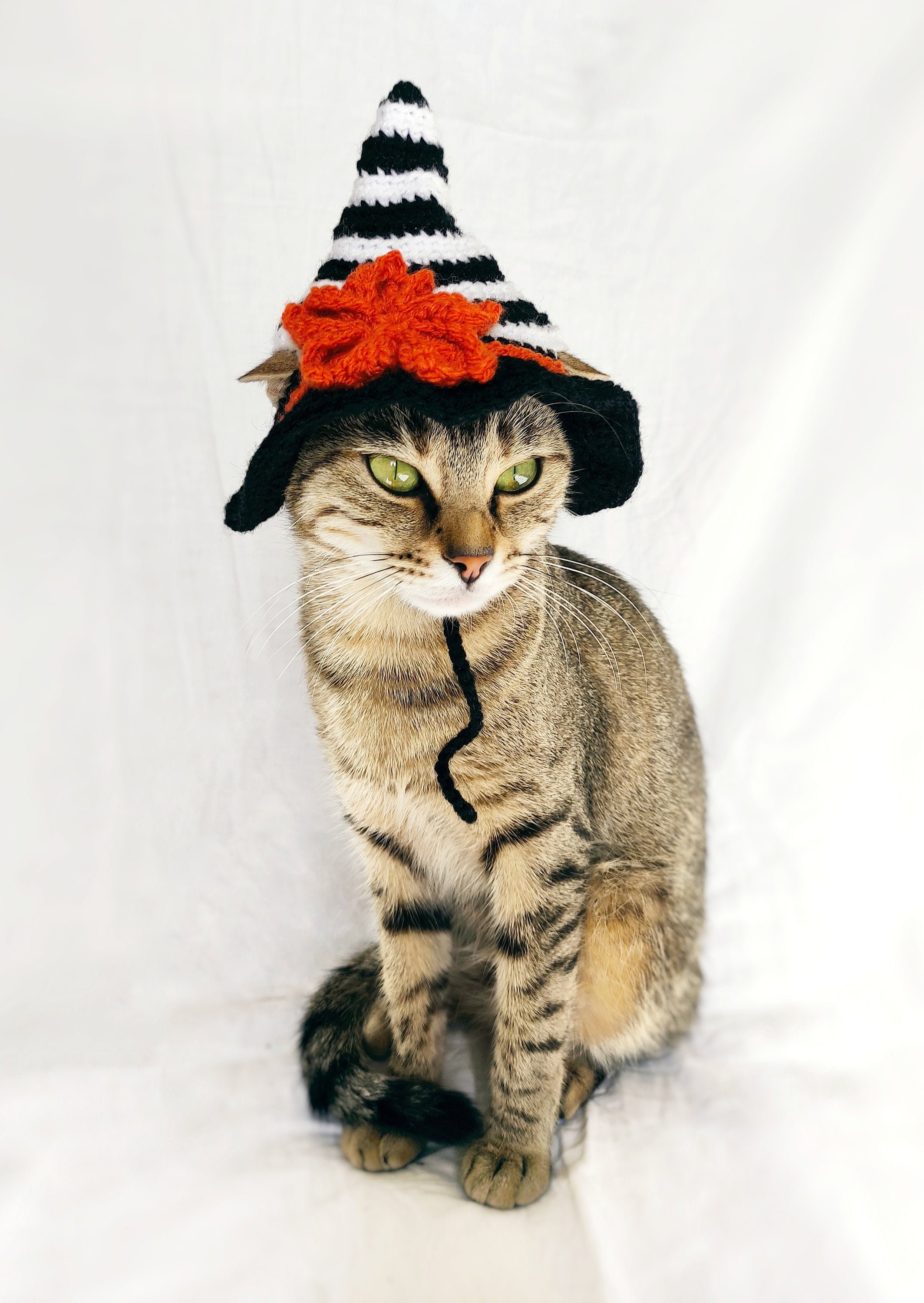 Witch Hat for Cat Witch Pet Costume Halloween Witch Kitten Etsy