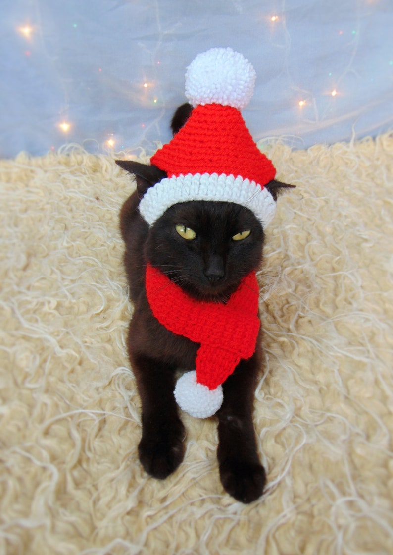 Santa Pet Costume Christmas Cat Outfit Santa Hat and Scarf Etsy UK