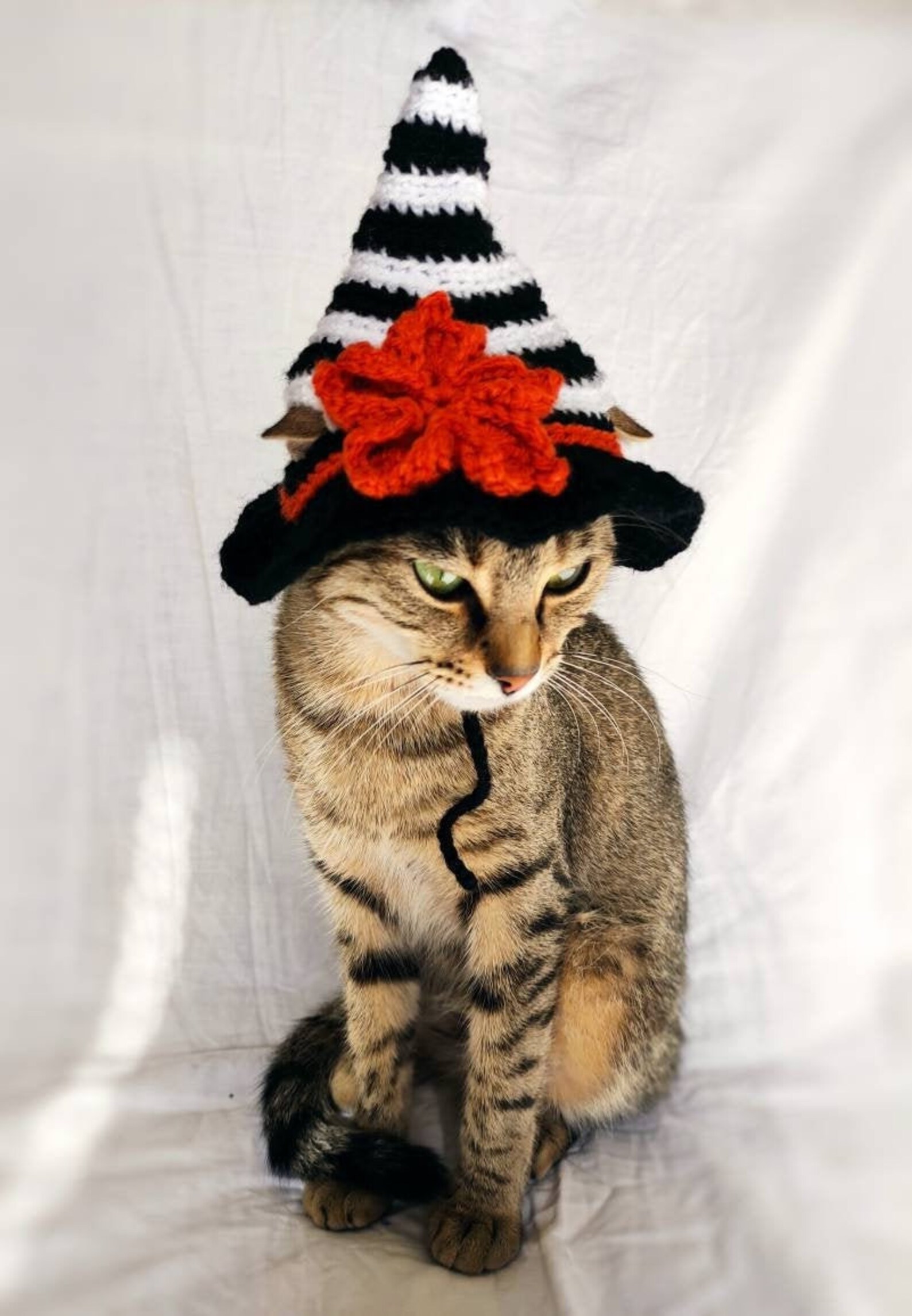 Witch Hat for Cat Witch Pet Costume Halloween Witch Kitten Etsy