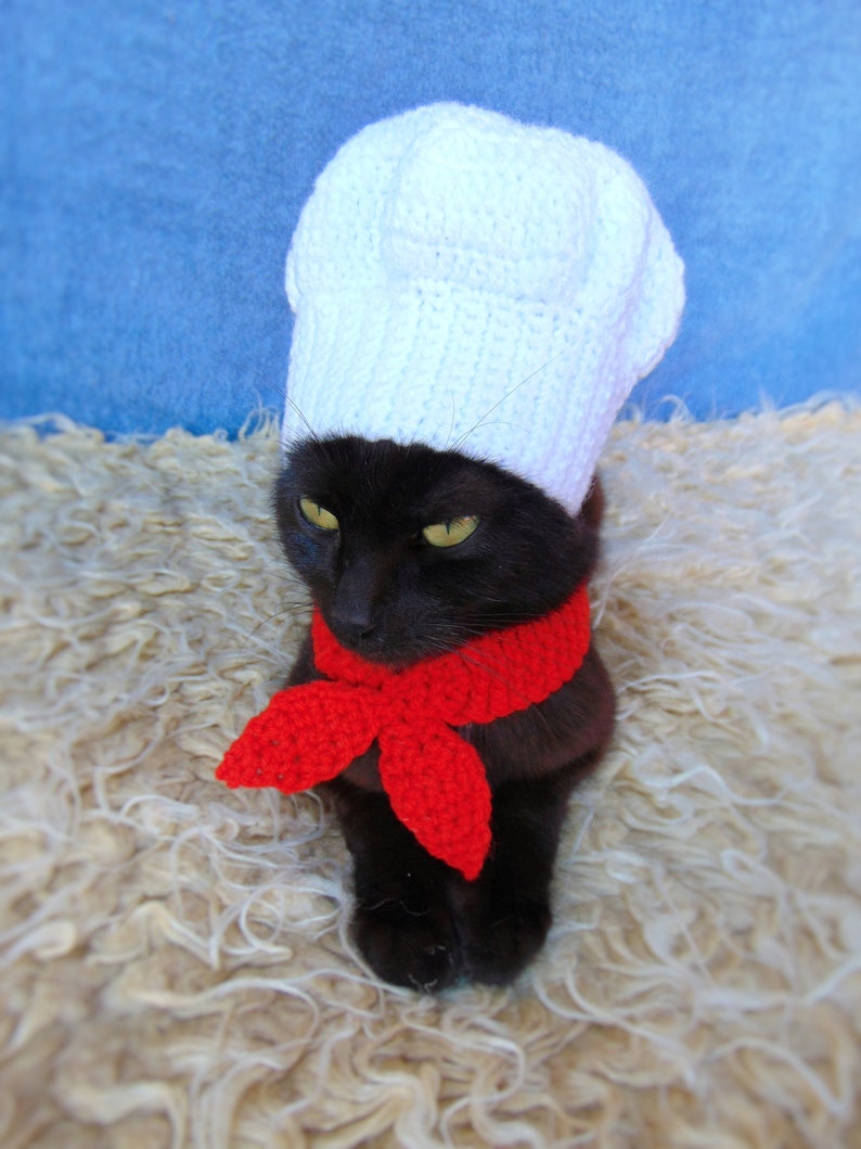 Chef Hat for Cat Chef Pet Costume Halloween Kitten Outfit Etsy
