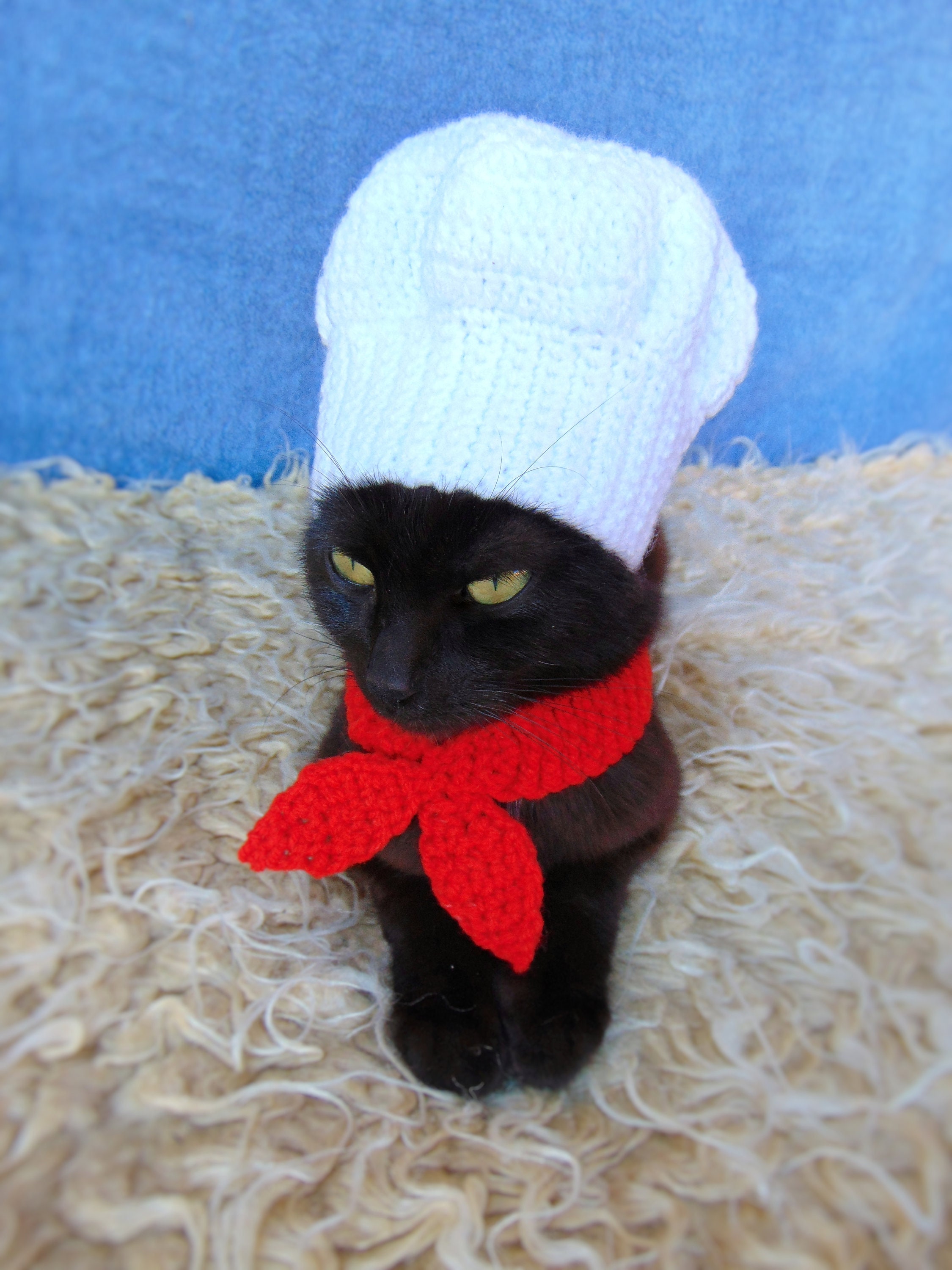 Chef Hat for Cat Chef Pet Costume Halloween Kitten Outfit Etsy 日本