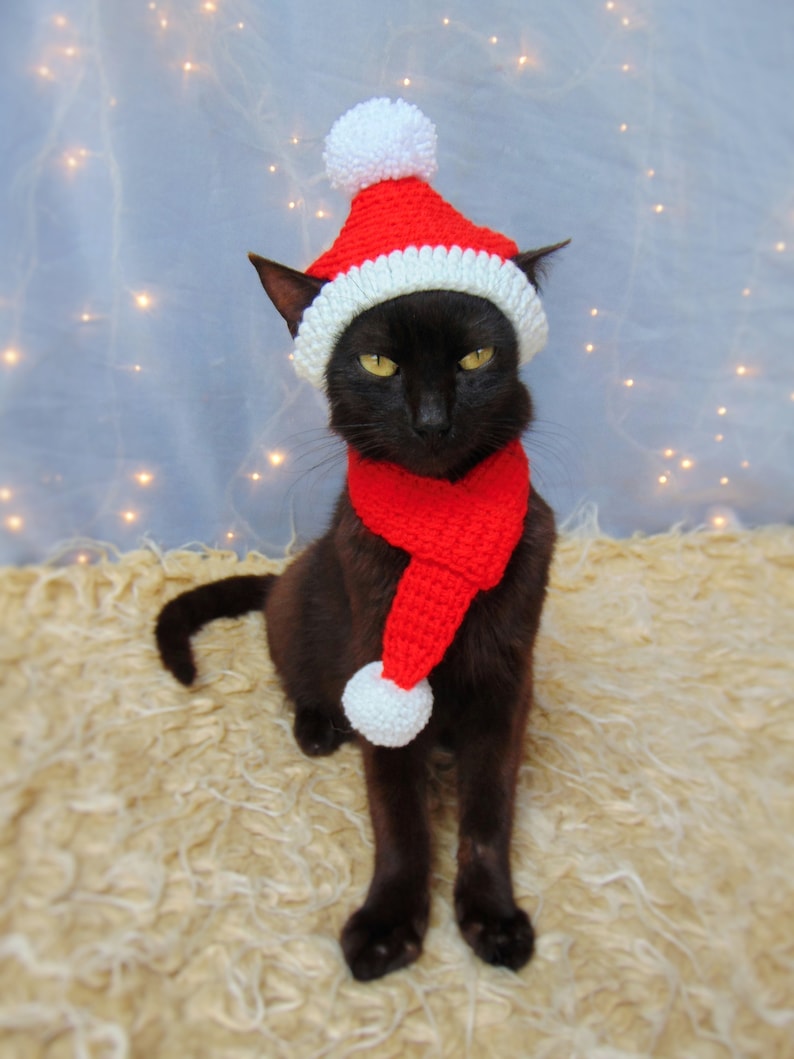 Santa Pet Costume Christmas Cat Outfit Santa Hat and Scarf Etsy