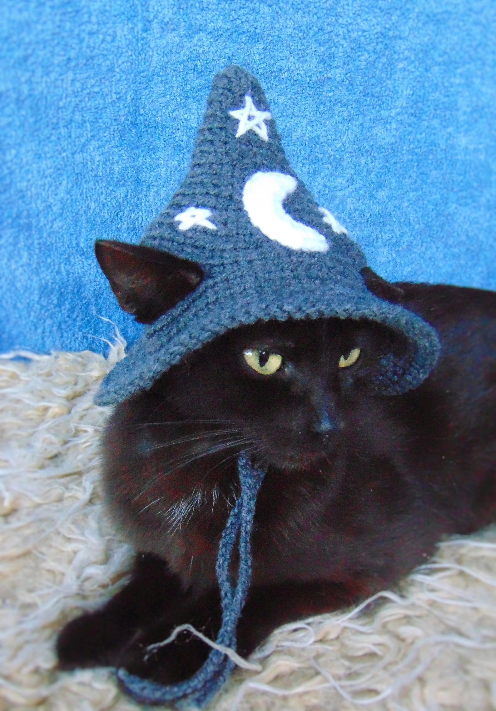 Dark Grey Wizard Hat for Cat Halloween Wizard Pet Costume - Etsy