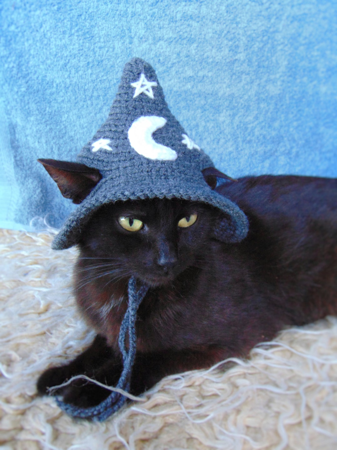 Dark Grey Wizard Hat for Cat, Halloween Wizard Pet Costume, Dark