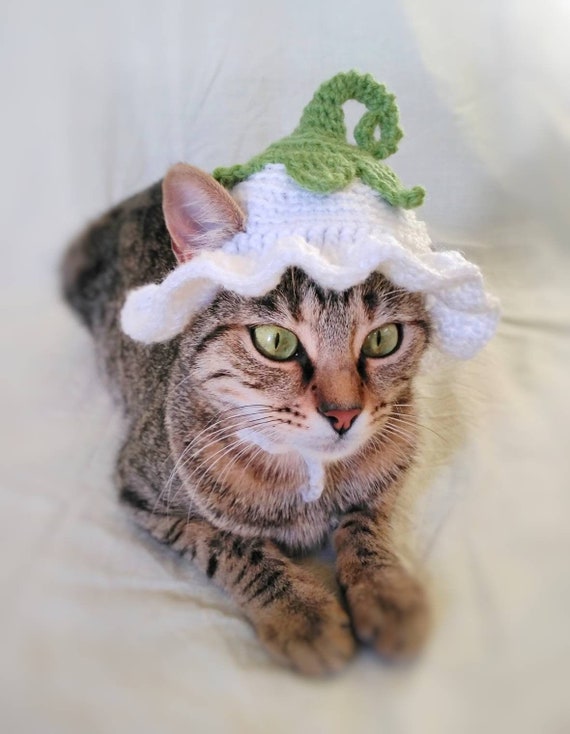 Flower Fairy Hat for Cat Flower Pet Costume halloween Pixie Fairy Kitten Outfit Cat Accessories Gift for Cat Lover Halloween Pet Costume Etsy