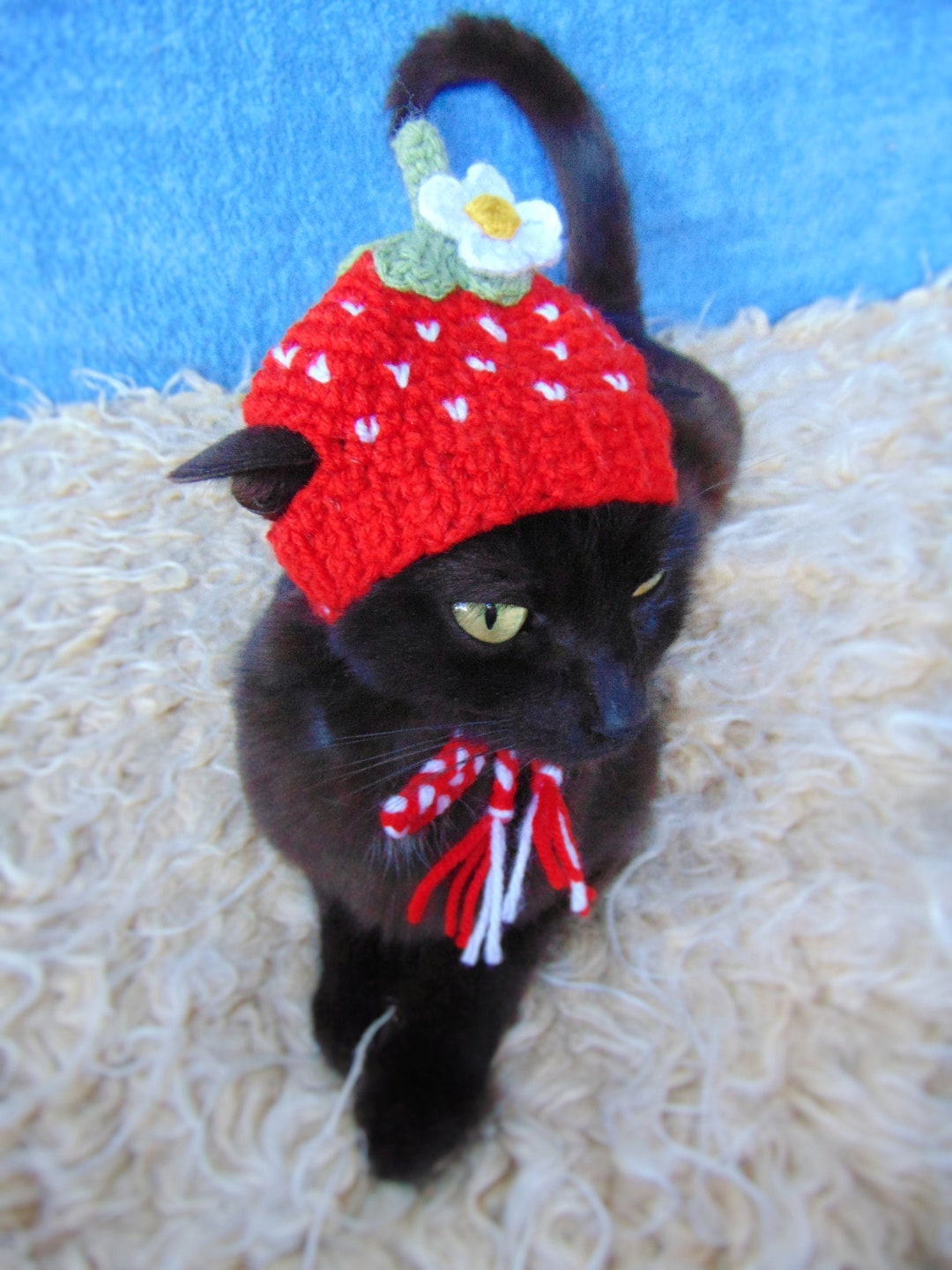 Strawberry Hat for Cat, Hat for Kitten, Fruit Cat Outfit