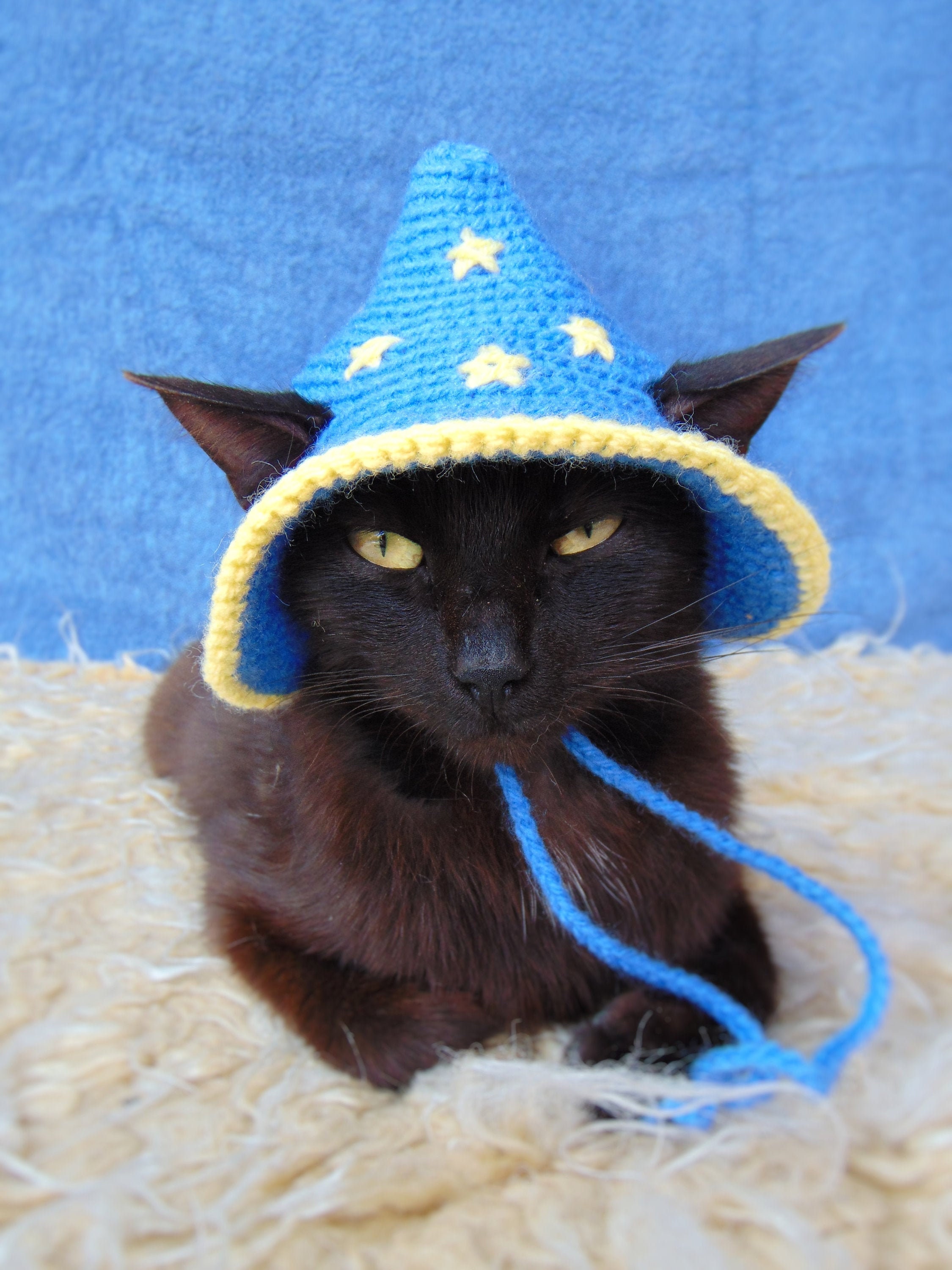 Wizard hat for cat Wizard pet costume Halloween kitten Etsy