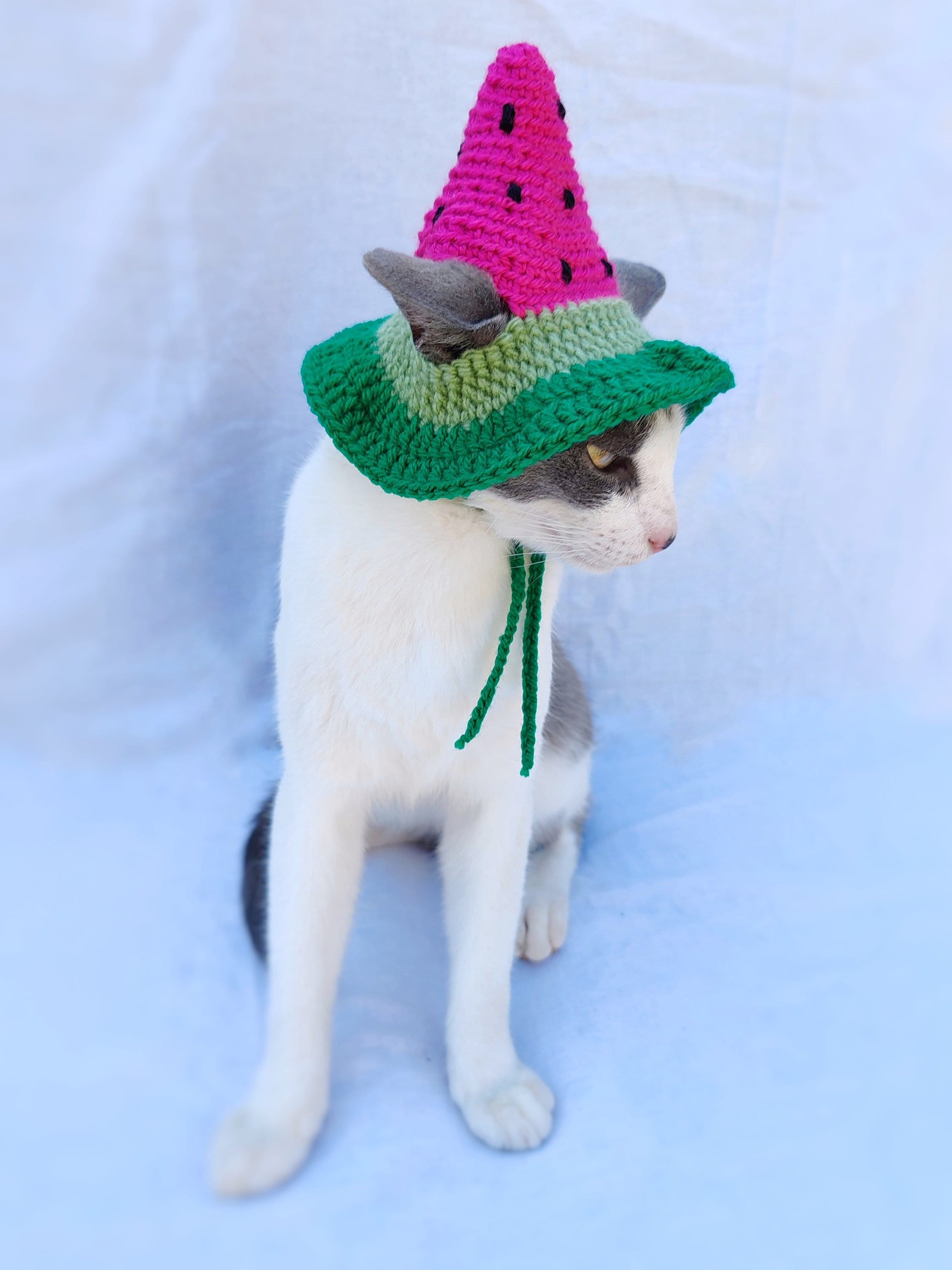 Watermelon Hat for Cats, Crochet Watermelon Pet Costume, Funny Fruit Pet Costume, Halloween Cat Outfit, Kitten Photo Prop Accessory, Gift