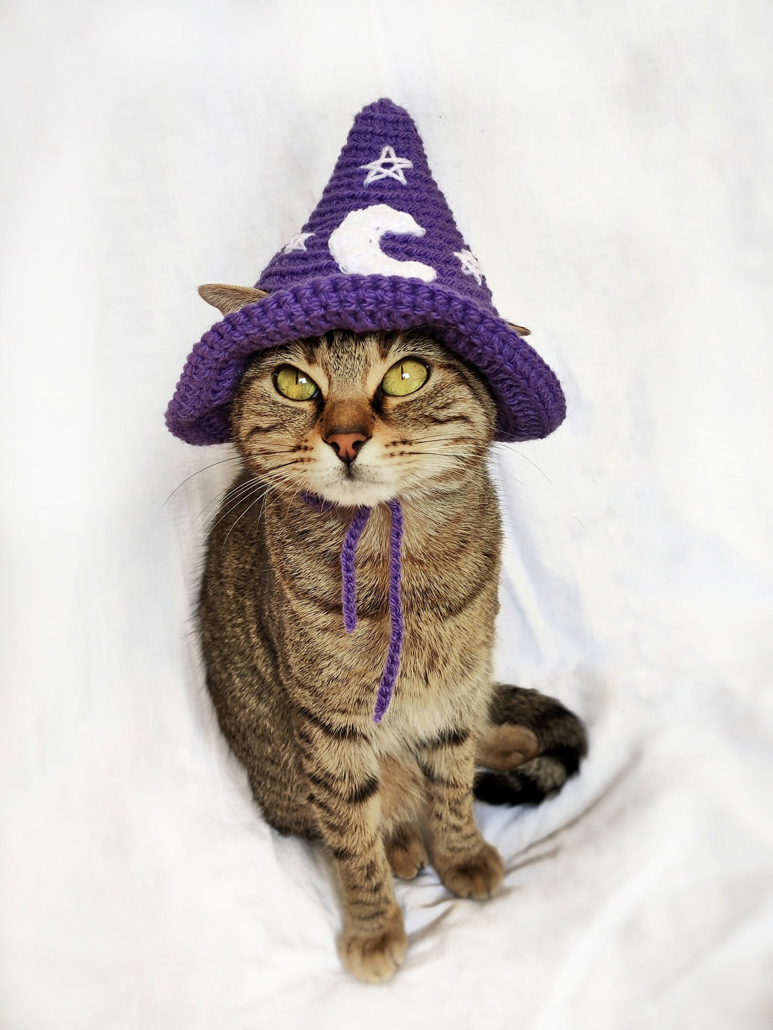 Dark Grey Wizard Hat for Cat Halloween Wizard Pet Costume Etsy