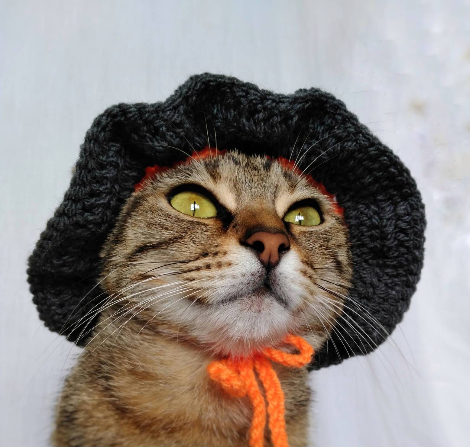 Witch Hat for Cat, Halloween Witch Pet Costume, Fairy Cat Outfit