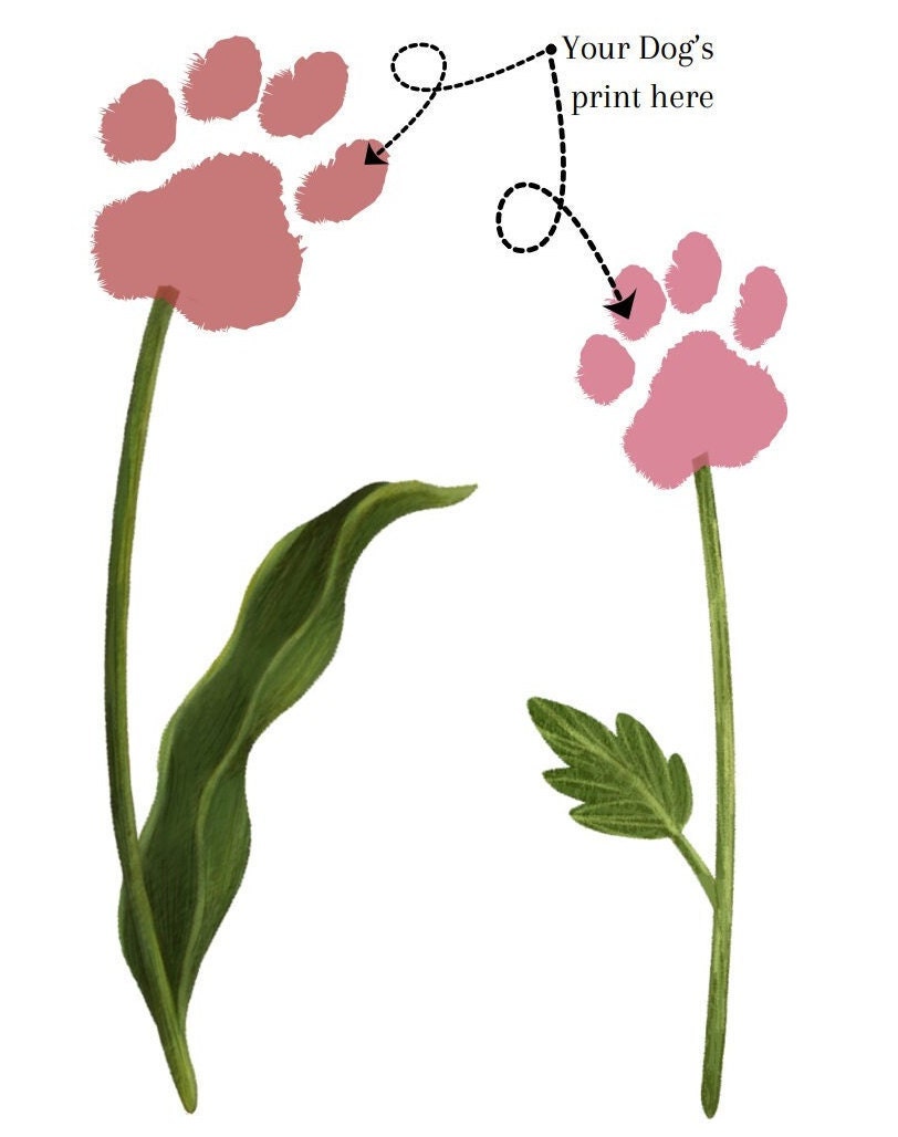 Paw Print Art- Flower Stems - Etsy
