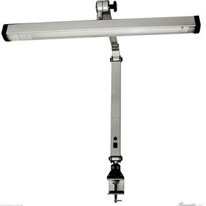 May include: A silver desk lamp with a long, adjustable arm and a clamp base. The lamp has a rectangular light fixture with a white diffuser.