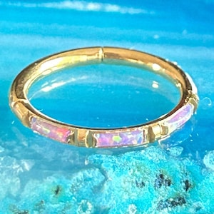 Gold Hinged Titanium Segment Ring Purple Opal Clicker Hoop Septum Cartilage Tragus Nickel Free 16g
