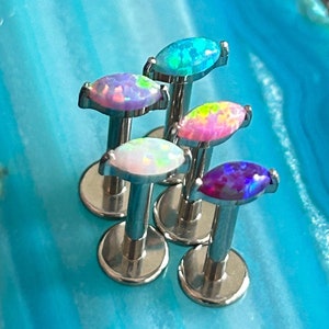 May include: Six opal body jewellery pieces in various colours, including blue, purple, pink, and white, are displayed on a blue background. Each piece is a small, oval-shaped opal set on a silver post.