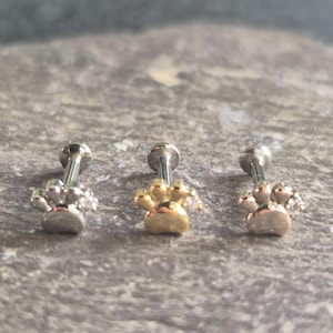 May include: Three paw print stud earrings in silver and gold. The earrings are displayed in a row, with a gold-coloured earring in the middle. The paw prints have a detailed design, and the posts are silver. The background is a textured grey surface.