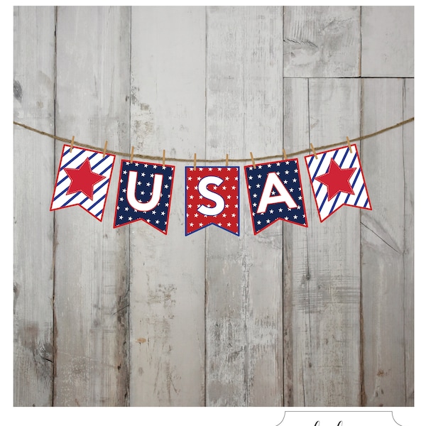 Patriotic USA small pennant banner