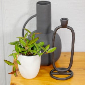 May include: A white ceramic pot with a green plant, a dark gray vase with a handle, and a dark metal candle holder are on a wooden surface. The plant has green and red leaves. The candle holder has a circular base.