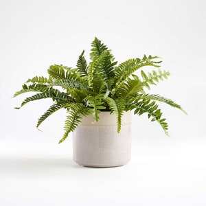 Op de afbeelding: Een gepotte kunstmatige varenplant met groene bladeren in een witte keramische pot met een gespikkelde glazuur.