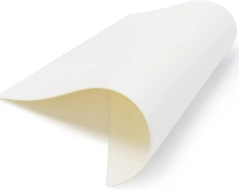 CISinks Hot/Cold Peel DTF Film 100 Sheets  PET Heat Transfer Paper for DIY Direct Print PreTreat Universal Waterproof Transparency  Paper