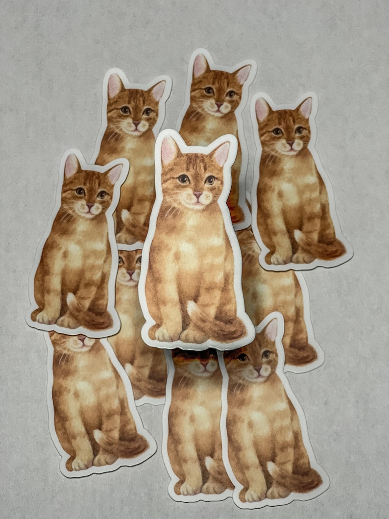 Orange Tabby Cat Vinyl Sticker - Etsy