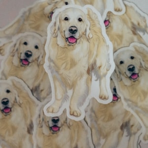 Cream Golden Retriever Dog Breed Sticker