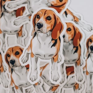 Beagle Sticker Sitting